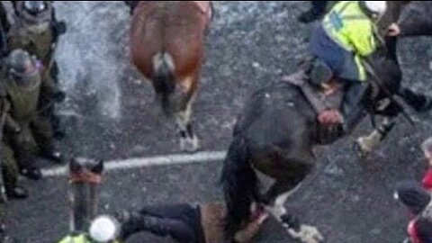 "Ottawa Police Horses Trample Protesters" Killing Woman With A Walker. Police Kill Freedom Protester