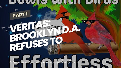 Veritas: Brooklyn D.A. Refuses To Press Charges After Self-Admitted Child Porn Solicitor Identi...