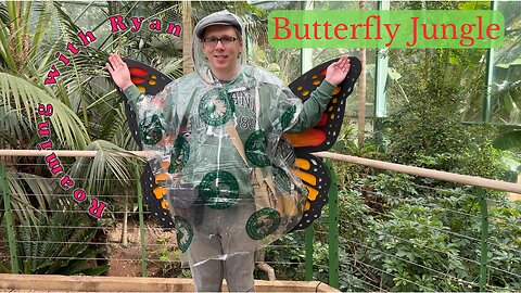 Butterfly Jungle Safari San Diego Zoo Safari Park