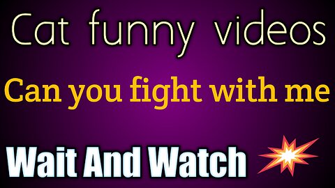 Come and fight with me funny cats #viral videos