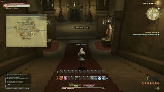 Final Fantasy XIV Online MMORPG Decisions Decisions