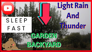 Light Rain and Thunder in Garden Backyard Sounds for SleepㅣASMR
