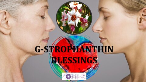 HEART ATTACK, BYPASS, STENTS & THE BLESSINGS OF G-STRPOPHANTHIN | True Pathfinder