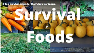 Learn about the top six survival crops for your home garden