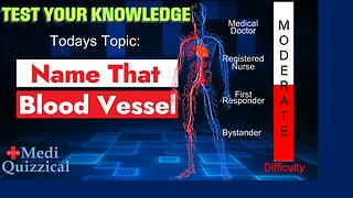 Human Anatomy Quiz, Blood Vessels