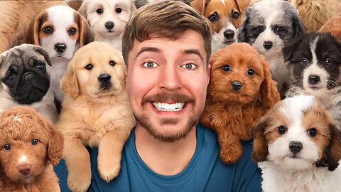 I Rescued 100 Abandoned Dogs! | MrBeast