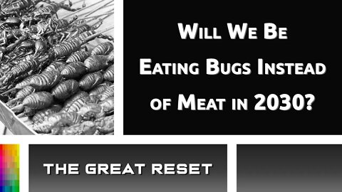[The Great Reset] Will We Be Eating Bugs Instead of Meat in 2030?