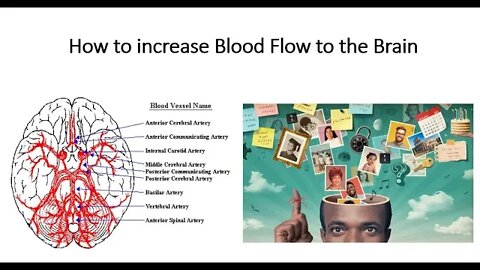How to Increase Blood Flow to the Brain
