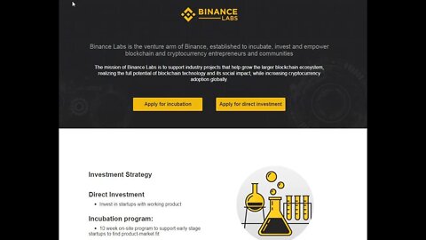 Binance Labs, Christychoi, Director, Direct Investment, cryptocurrency adoption, blockchain