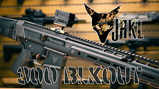 NEW RIFLE: PSA JAKL - 300 Blackout Rifle