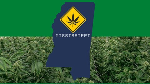 Mississippi is the 37th state to legalize medical marijuana