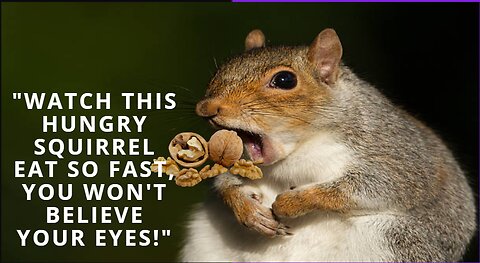 "Watch This Hungry Squirrel Eat So Fast, You Won't Believe Your Eyes!"