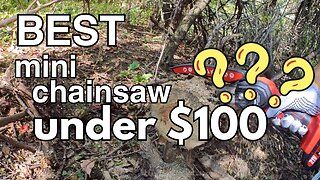 Best mini chainsaw under $100 ?