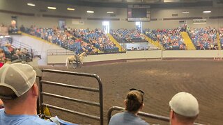 Cowboy mounted shooting