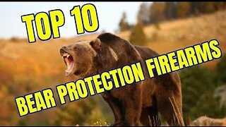 TOP TEN BEST BEAR DEFENSE FIREARMS