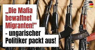 „Die Mafia bewaffnet Migranten!“ - ungarischer Politiker packt aus!