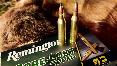 .243 Win vs Deer - Remington Core-Lokt Tipped Ammo
