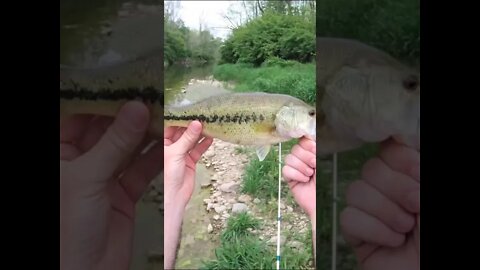 Husband and wife catch largemouth in the river