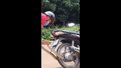 Snake trapped in Motorcycle 🏍️