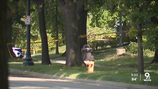 Man found shot to death inside car near Cincinnati State's campus