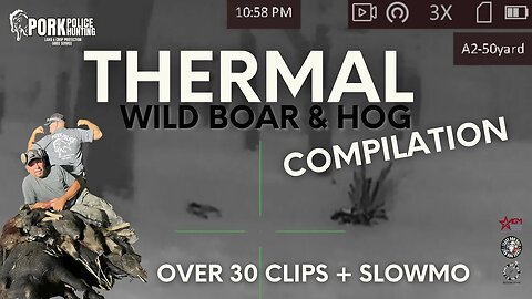 Thermal Scope Hog Hunting In Texas | 30 Clip Compilation!