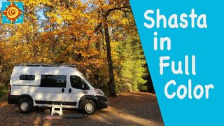 Shasta in Full Color//EP 5 Seeking the Winter Sun in our Converted ProMaster Van 136