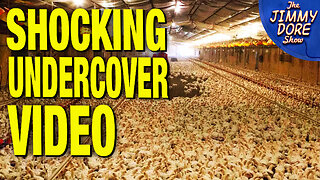 “Free Range” Chicken Label Is Complete Bullsh*t – Reveals Undercover Video