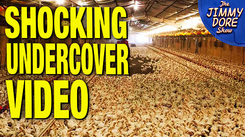 “Free Range” Chicken Label Is Complete Bullsh*t – Reveals Undercover Video