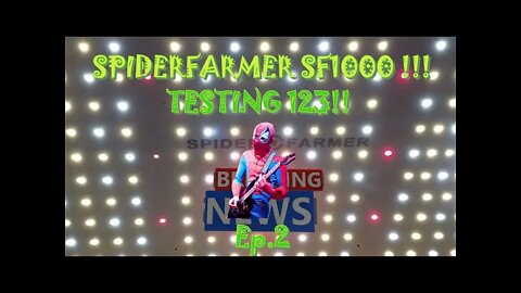 SpiderFarmer SF1000 Testing 123! EP.7 "Back to work" #SPIDERFARMER #NORTHGENETICS #WEBBGROW 🌲👽🔨