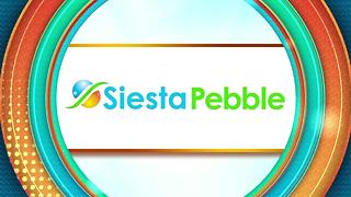 Siesta Pebble: Pebble Tec
