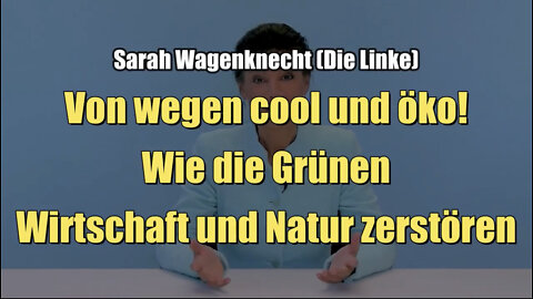 Sarah Wagenknecht: Von wegen cool und öko - wie die Grünen Wirtschaft und Natur zerstören