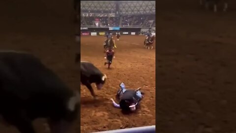 Father protects his son after he is knocked out!#shorts #crazyvideo #knockout #bullriding #rodeo