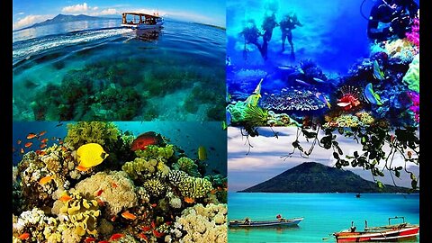 EXPLORING THE BREATHTAKING UNDERWATER PARADISE OF BUNAKEN