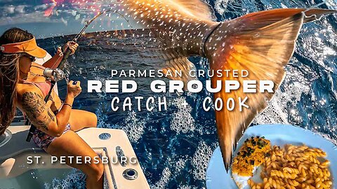 Red Grouper Fishing St Petersburg Florida Spring Offshore Catch and Cook Parmesan Crusted Grouper