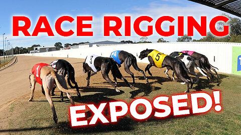 Ipswich Greyhound Race Rigging