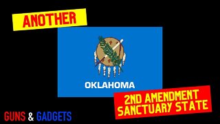Another 2A Sanctuary State