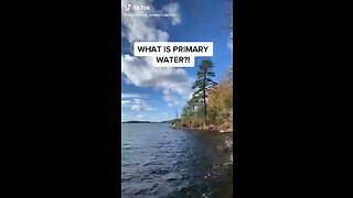 What is Primary Water?