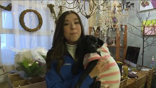 Floral shop and dog rescue team up for "puppy kisses" flower delivery