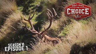 Good Day Mate! Red Stag Adventure! - The Choice (Full Episode) // S8: Episode 1