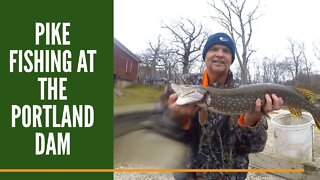 Winter Pike Fishing at The Portland Dam / Grand River Michigan Pike Fishing March 2020