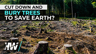 CUT DOWN AND BURY TREES TO SAVE EARTH? - The HighWire with Del Bigtree