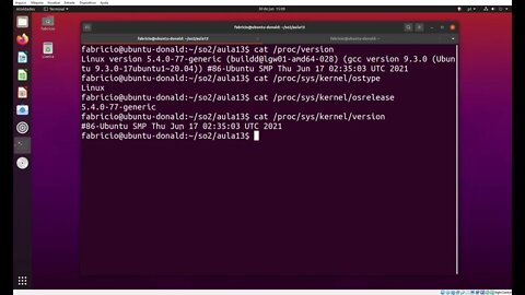 Obtendo informações de Versão no Linux com /proc/version e /proc/sys/kernel/...