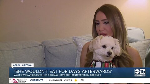 Dog owner speaks out against Phoenix groomer accused of mistreatment