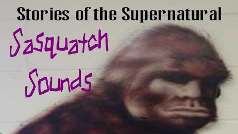 Sasquatch Sounds | Interview with Ron Morehead | Stories of the Supernatural