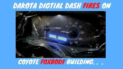 Dakota Digital Dash Fires On Coyote Swapped Foxbody