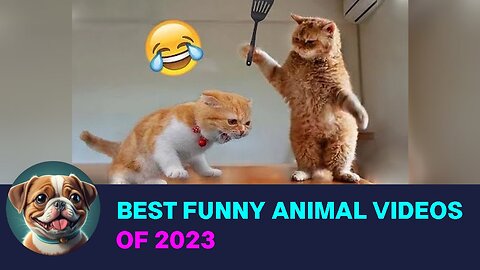 Best Funny Animal Videos of 2023 🐾 Funniest Animals Ever! 😂