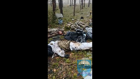 The work of Pskov paratroopers in the Kremensk direction