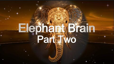 The New Earth Quest ~ Elephant Brain 2, George's Teachings with Dr. Sam Mugzzi & Digital Tom