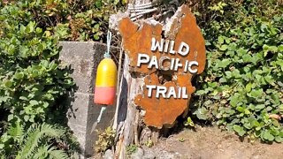 Wild Pacific Trail- Ucluelet BC