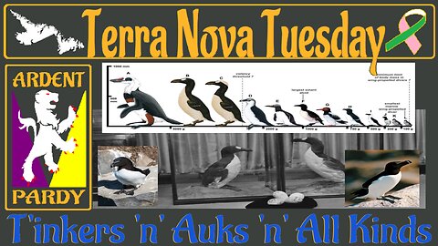 Terra Nova Tuesday ~ 231114